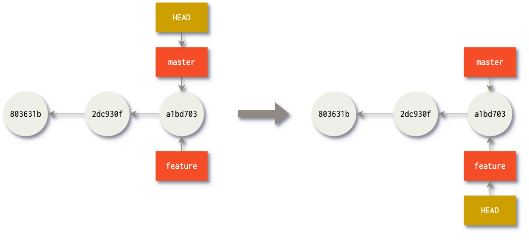 New branch created