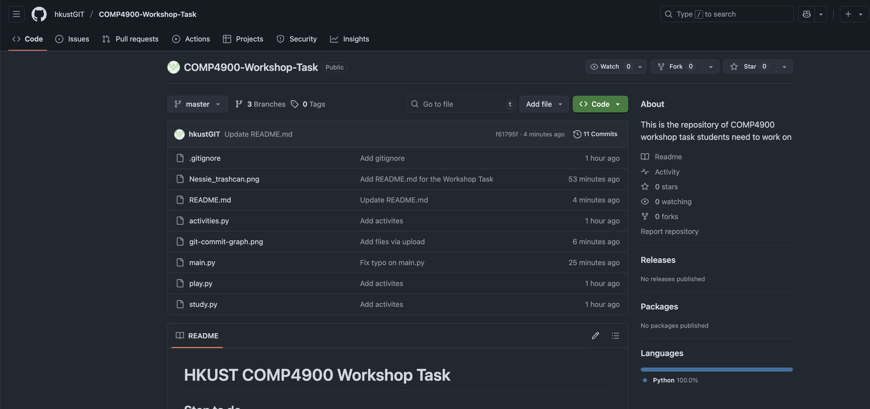 Workshop repository task overview